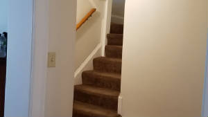 Stairsup.jpg